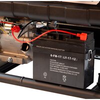 Denzel PS-25 Image #14