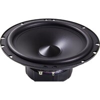 AMP MASS 6.5 Image #3