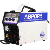 Аврора Динамика 165 Синергетик Пульс