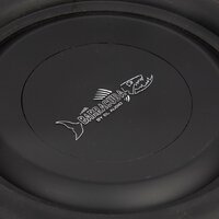 DL Audio Barracuda 8 Flat Image #4